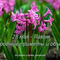 Народные приметы и обычаи 28 мая в день Пахома