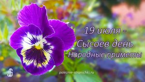 19 июля - Сысоев день