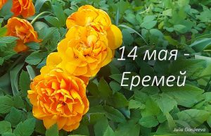 Народные приметы и поверья 14 мая в день Еремея