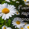Народные приметы и запреты 8 июня в день Карпа Карполова