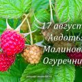 Народные приметы на 17 августа в день Авдотьи, Малиновки, Огуречницы