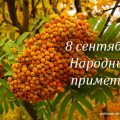 Народные приметы на 8 сентября