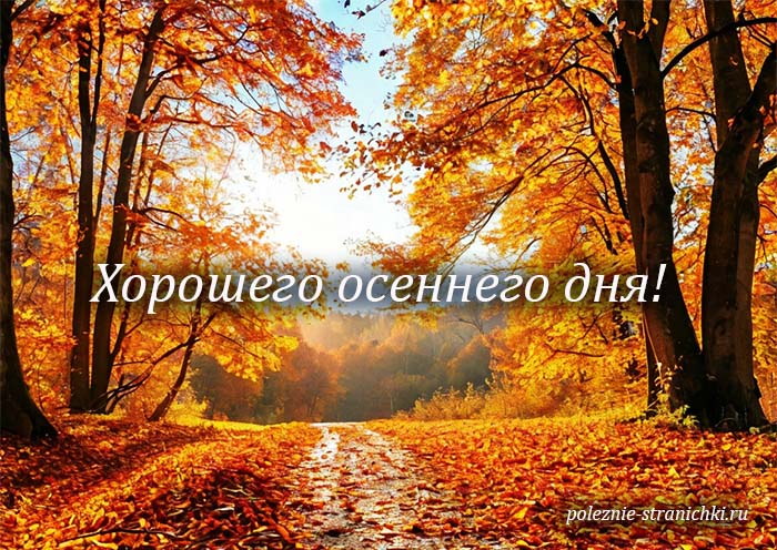 Открытка хорошего дня