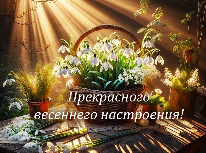 Пусть этот весенний день будет наполнен теплом, светом и приятными моментами